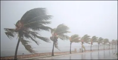 Qui chante "Ouragan" ?