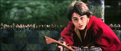Quel est le rôle d'Harry au quidditch ?