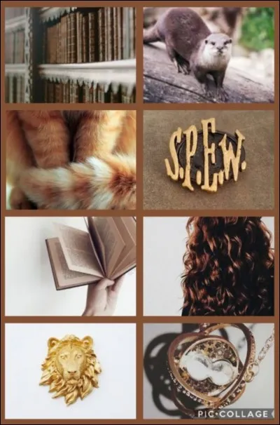 Dans quel livre Hermione a-t-elle trouvé le premier message secret concernant le Repère ?