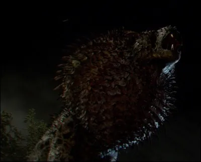 Comment s'appelle cet animal ?