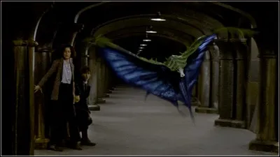 Comment s'appelle cet animal ?