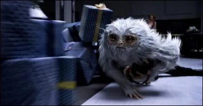 Comment s'appelle cet animal ?