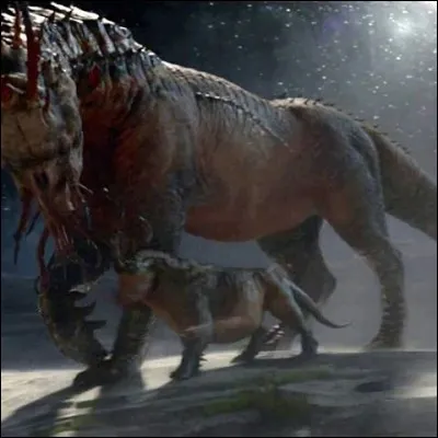 Comment s'appellent ces animaux ?