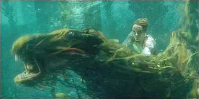 Comment s'appelle cet animal ?