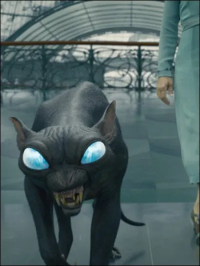 Comment s'appelle cet animal ?