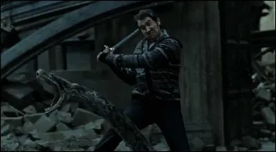 Comment s'appelle cet animal ? (son prénom)