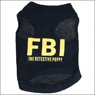 Qu'est-ce que tu embarquerais pour aller faire une mission d'agent secret ?