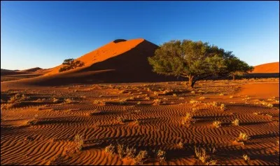 Dans quelle région du monde situez-vous le désert du Kalahari ?