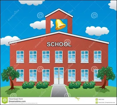 À l'école, tu es plutôt :