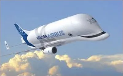Son ancêtre s'appelait Super Guppy, ventre arrondi pour transporter, entre autres, des morceaux d'avions. Quel est le nom de cet actuel avion cargo ?