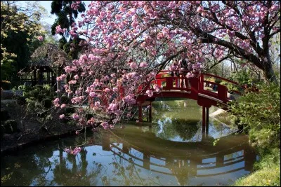 Créé en 1981 ce jardin japonais est labellisé ''Jardin remarquable''. Dans quel parc est-il situé ?