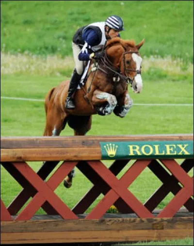 L'Anglo-arabe est originaire ...