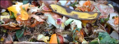 Quelle part de notre poubelle est compostable ?