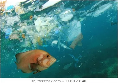 Quelle quantité de ce plastique produit se retrouve dans les océans tous les ans ?