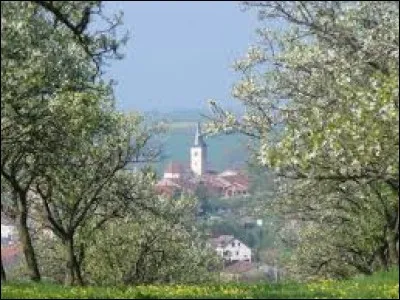 Je vous emmène dans le Grand-Est, à la découverte de Rozelieures. Village de l'arrondissement de Lunéville, connu pour sa maison la mirabelle, il se situe dans le département ...