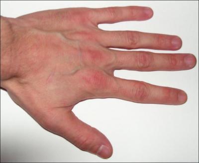 Qu'est ce que la main en quitation ?