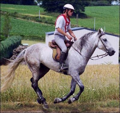 Que fait ce cavalier ?