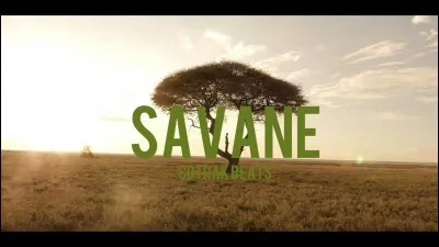 Lequel de ces animaux ne vit pas dans la savane ?