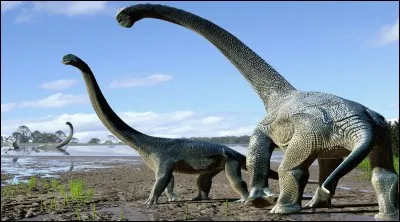 Lequel n'existait pas au temps des dinosaures ?