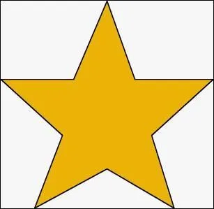 Quels sont les 5 pilliers de l'islam ?