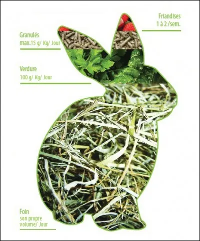 Tous les branchages ou brindilles sont-ils autorisés ?