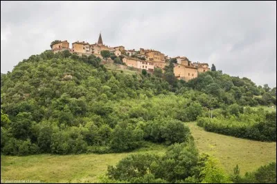 Visitons ensuite Puycelsi, village perché entouré d'un chemin de ronde et qui surplombe une magnifique forêt de chênes rouvres. Quel est le nom de cette belle forêt ?