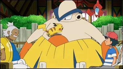 Quel est ce Pokémon ?