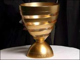 Quelle coupe est-ce (football) ?