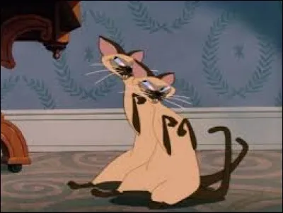 Personne à l'air malveillant, fourbe, comme une fouine !