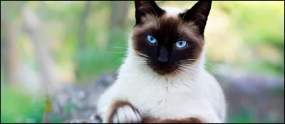 Zone la moins productive d'un champ cultivé !