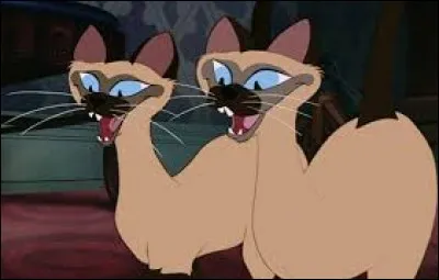 Nom porté par un huissier, en Afrique du Nord, au temps de la colonisation !