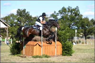 Quel est le nom de cette pratique équestre ?