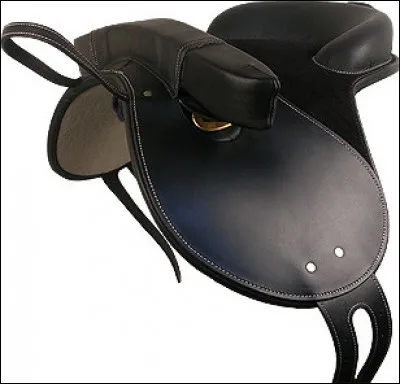 Sur une selle principalement utilisée pour les shetlands comment se nomme la partie ressemblant à un boudin située sur le devant de la selle ?