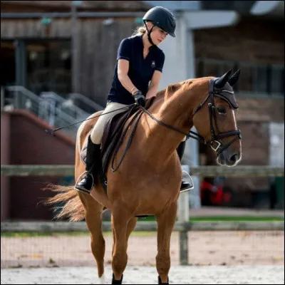 De quel côté faut-il monter à cheval ?