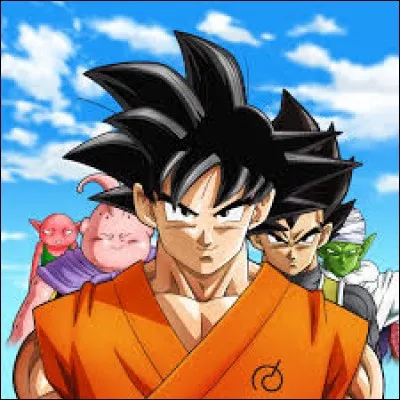 Quel est ce dessin animé ?