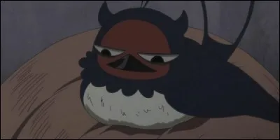 Quel membre de la guilde décide d'appeler cet oiseau Nero ?