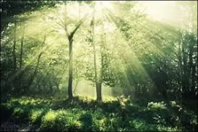 Être en forme le matin de bonne heure, c'est être ...