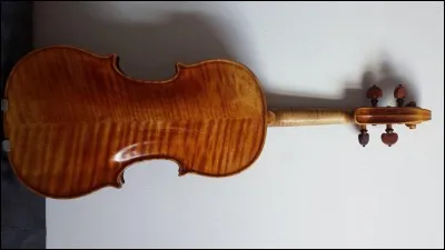Quel est le nom des cordes du violon ?