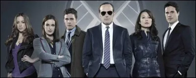Que veut dire "S.H.I.E.L.D." ?