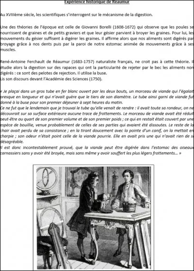 Quelle est l'hypotèse de Borelli ?