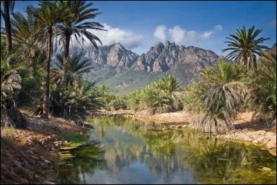 Très jolies images de l'île de Socotra, au Yémen, l'un des joyaux de :