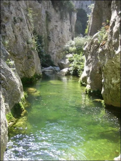 Où se situent les gorges de Galamus ?