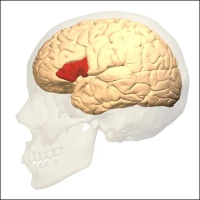 Comment s'appelle la zone en rouge ?