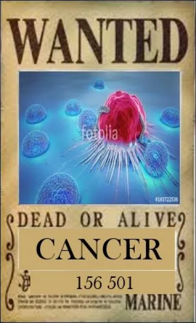 La première cause de décès en France est l'ensemble des pathologies cancéreuses avec plus de 156 000 décès par an.
Dernière le terme cancer se cachent énormément de maladies aux prises en charge différentes mais avec un mécanisme pathologique commun.
Quelle proposition définit le mieux le "cancer" ?