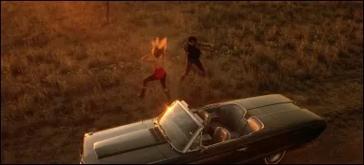 "Sailor et Lula" est un film interprété par Nicolas Cage.