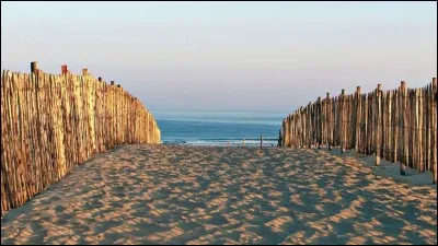 "Shutter Island" est un long-métrage interprété par Leonardo DiCaprio.