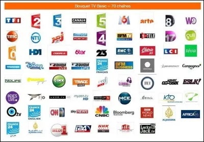 Quelle chaîne de télévision regardes-tu le plus souvent parmi les propositions ci-dessous ?