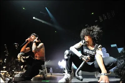 Complétez cette chanson de Shaka Ponk : "I'm Stain, my name is Stain " ?