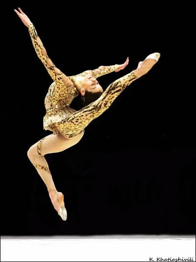 Il faut avoir au minimum ...