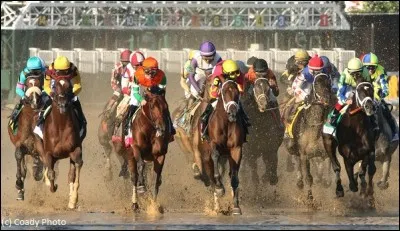 Les chevaux dans la course Kentucky Derby ont 5 ans.
Vrai ou faux ?